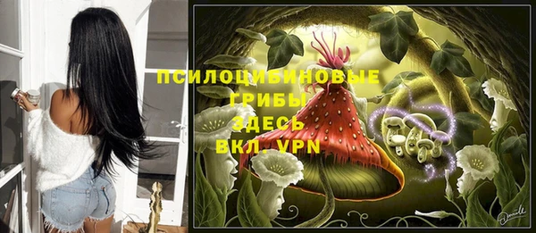 дживик Белоозёрский