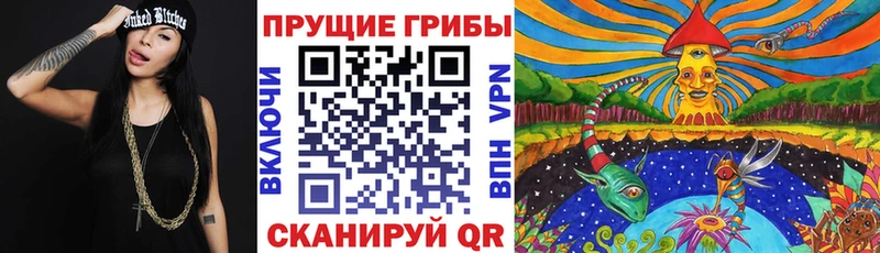 mega ссылки  Обоянь  Псилоцибиновые грибы Magic Shrooms  где найти  